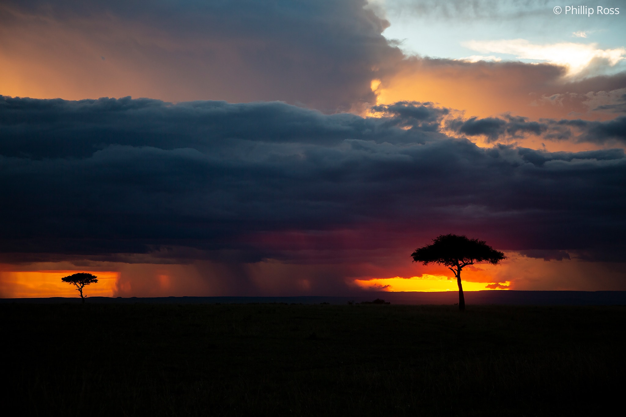 Sunset in Masaai Mara on an Africa Wildlife Photography Tour