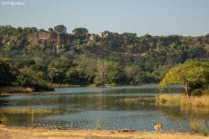 Ranthambore Fort on a Wildlife Photography Tour