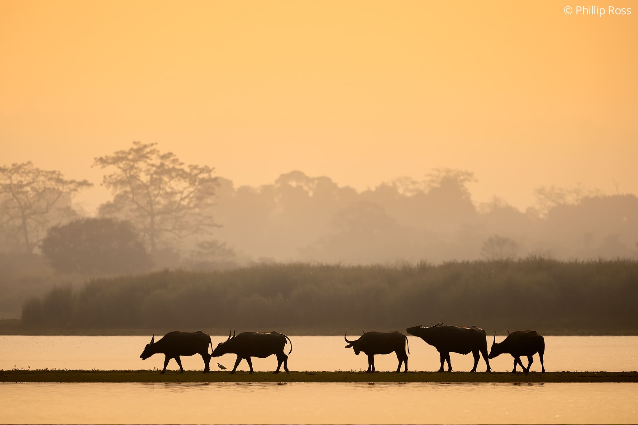 kaziranga photography tour