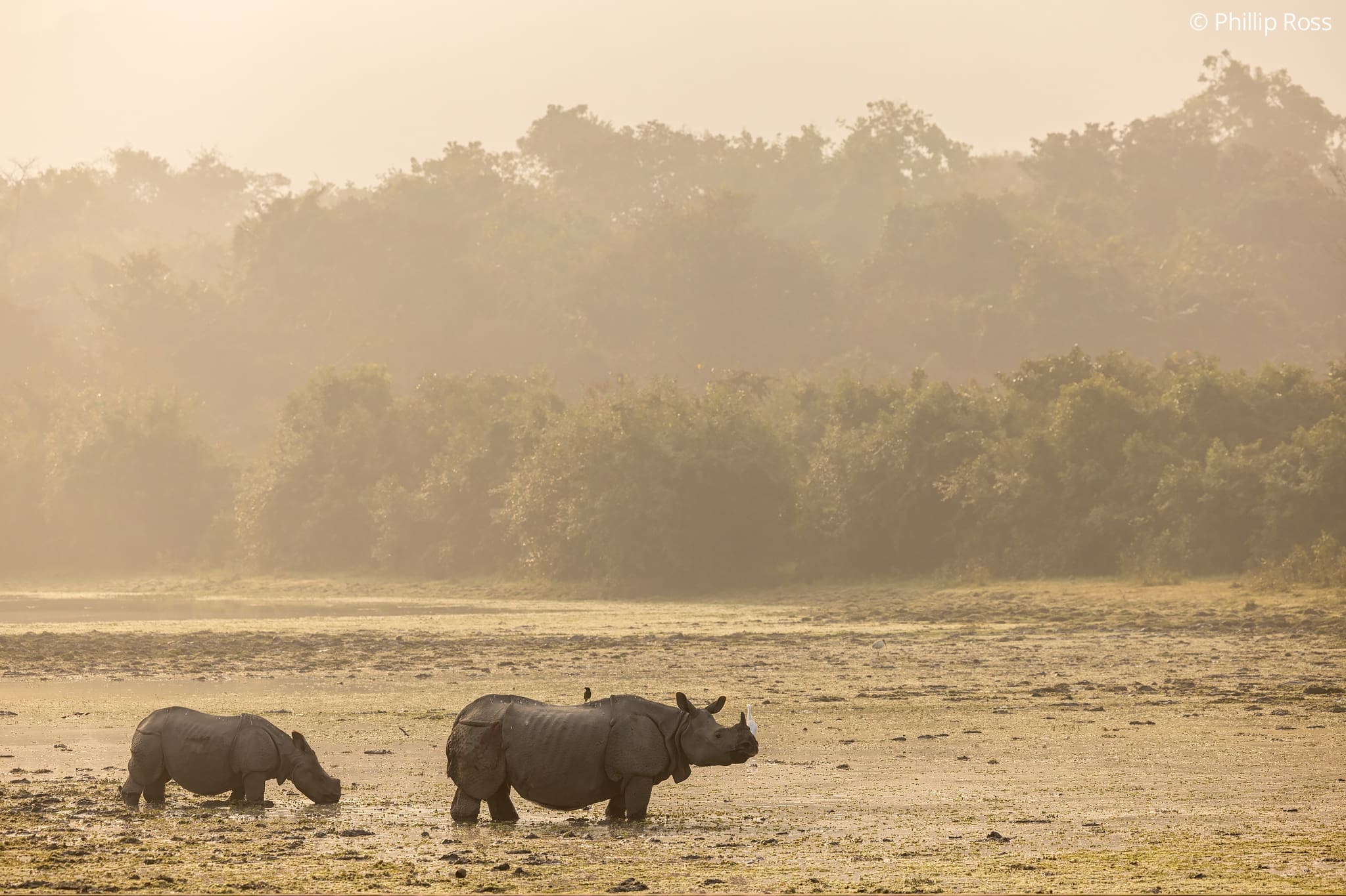 kaziranga photography tour